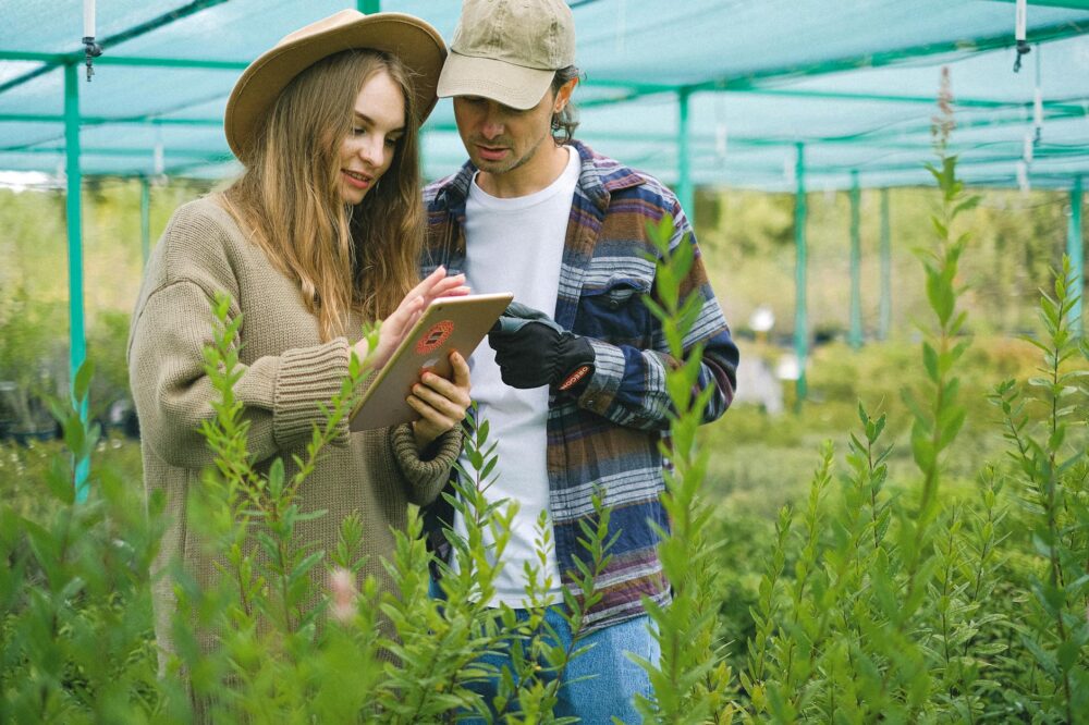 Comment choisir un nom de domaine pour un site de jardinage ?
