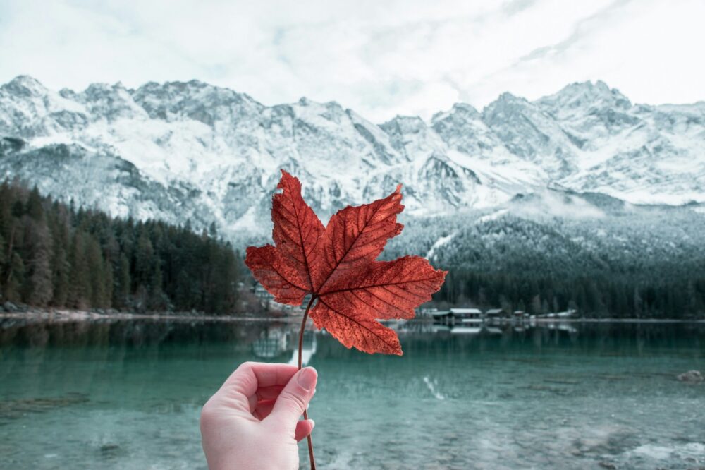 Comment optimiser le chargement des feuilles de style ?