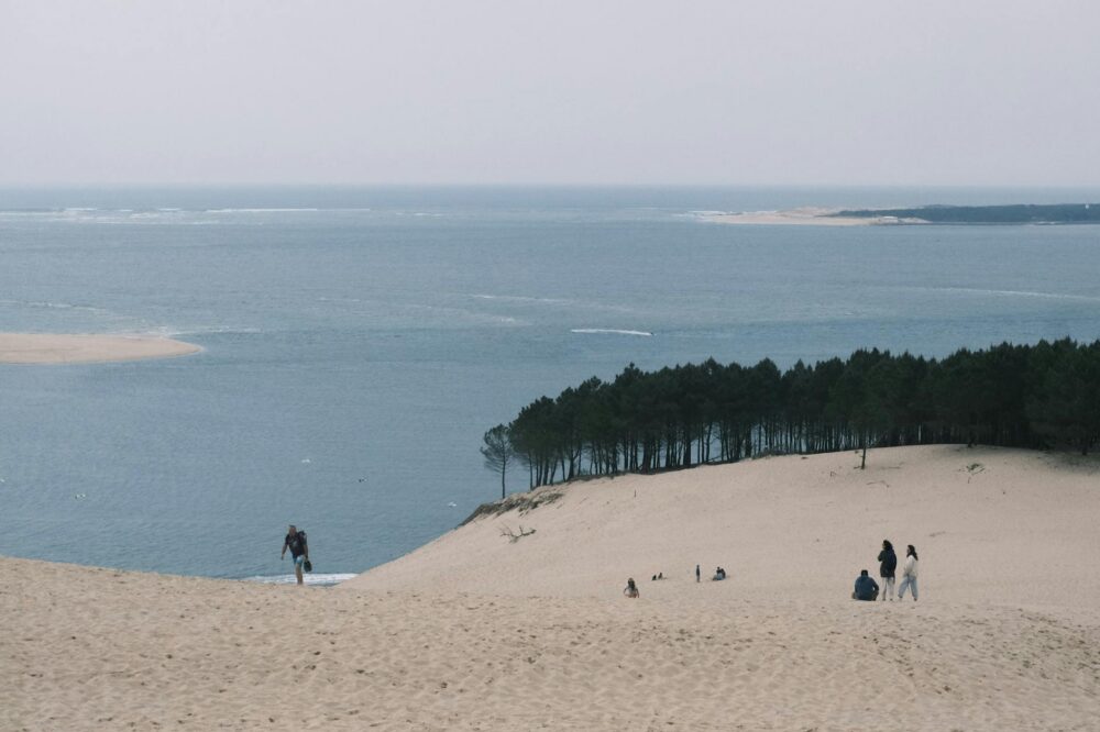 Délai de mise en place du référencement naturel