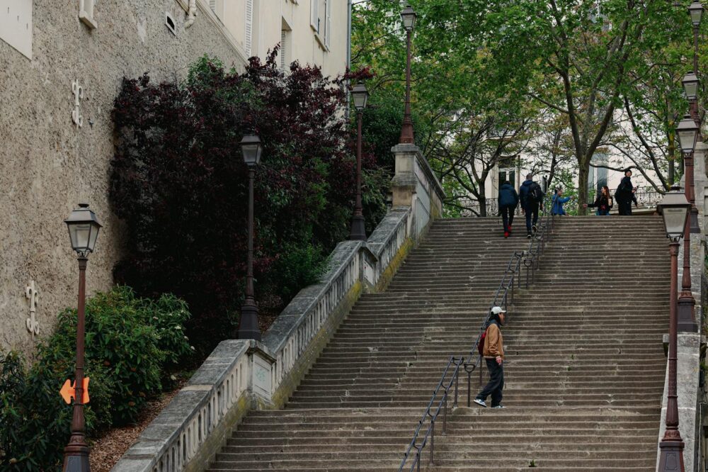 Quels sont les noms de domaine les plus chers en France ?
